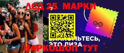 крисы Кулебаки