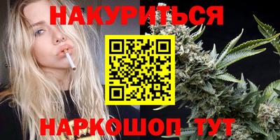 крисы Кулебаки