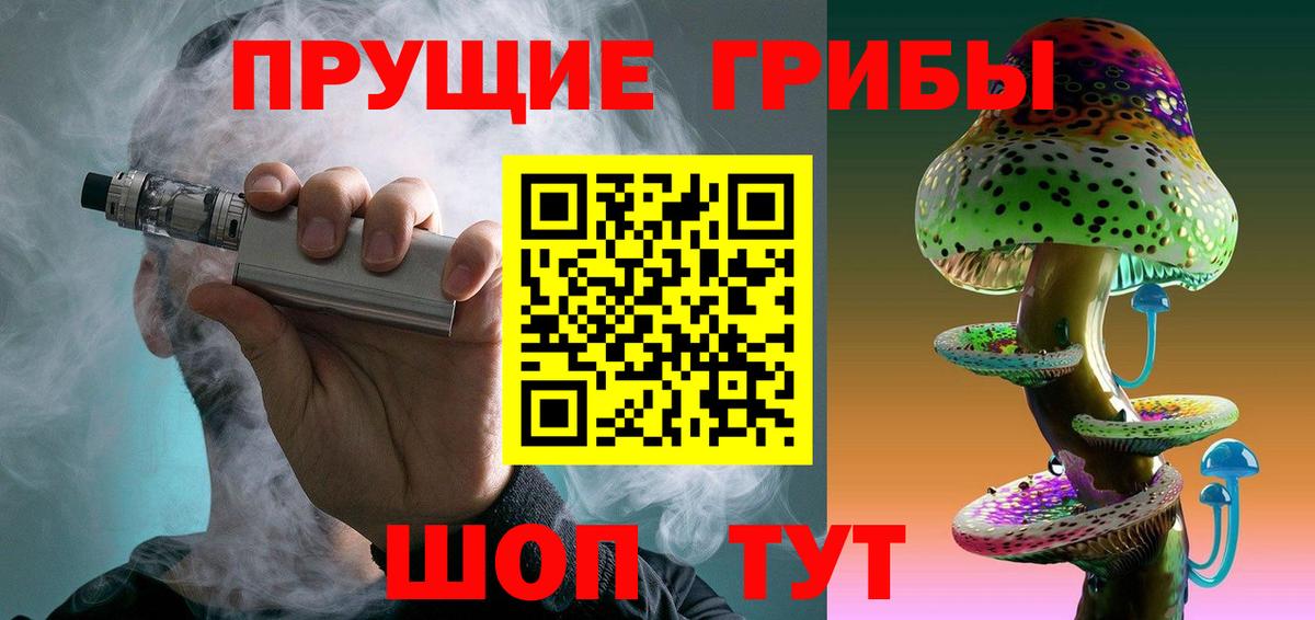 Псилоцибиновые грибы Cubensis Котлас