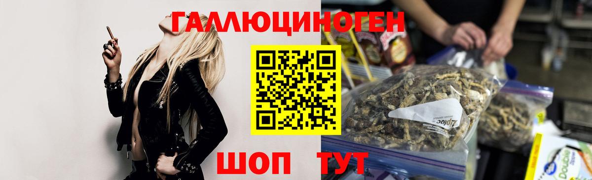 Псилоцибиновые грибы ЛСД  Вход с VPN  Котлас  Псилоцибиновые грибы Cubensis 