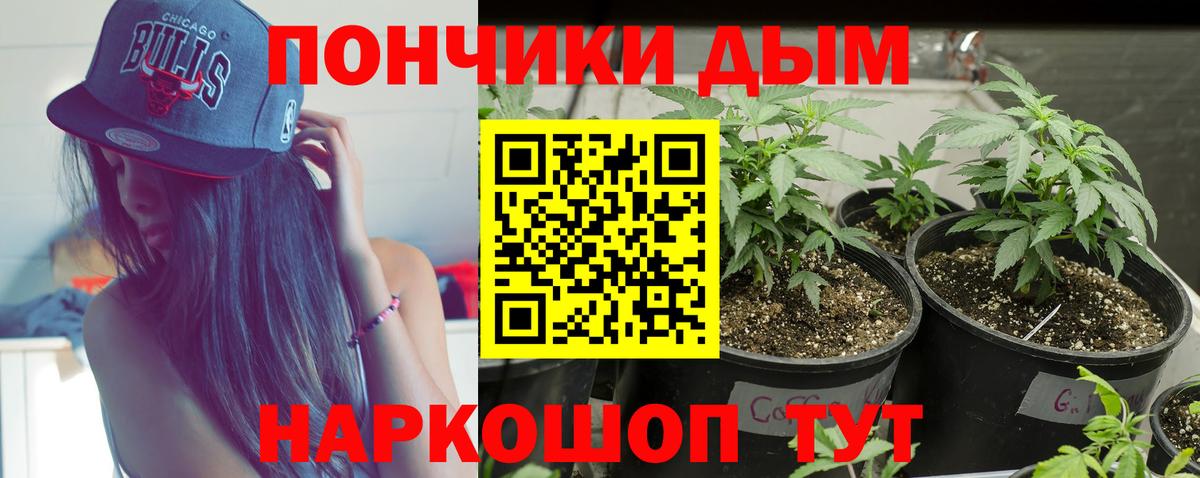 Котлас  МАРИХУАНА White Widow  Вход с VPN  Марихуана гибрид 